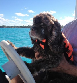 Patton driving the dinghy