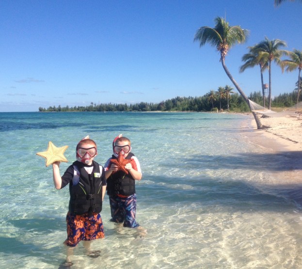 R&R Starfish Old Bahamas Bay