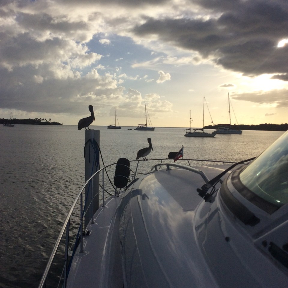 Marina Pescadería, Puerto Real, Cabo Rojo, Puerto Rico