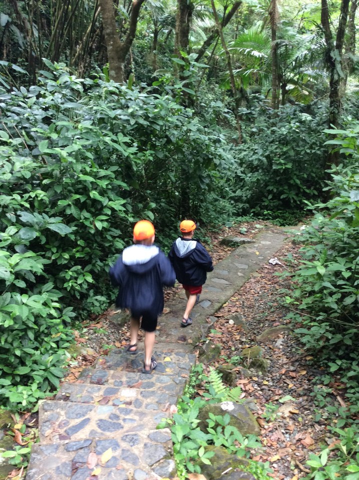 R&R, El Yunque Rain Forest, Puerto Rico