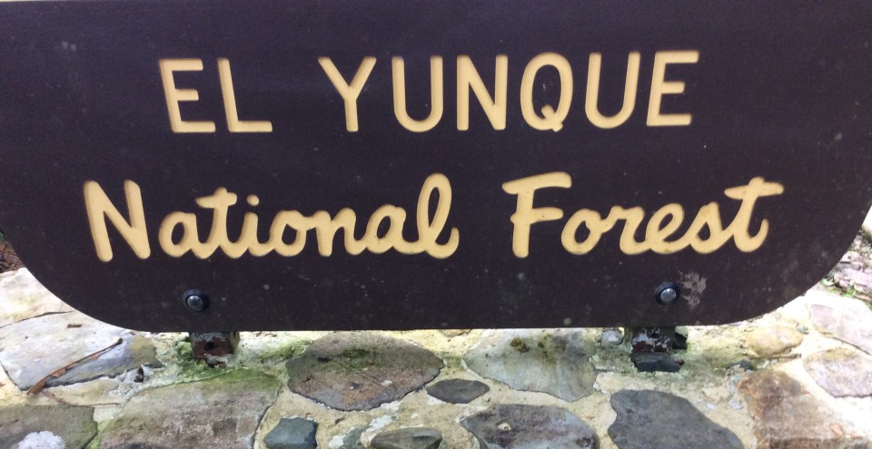 El Yunque Rain Forest, Puerto Rico