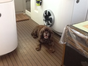 Patton's 13th birthday