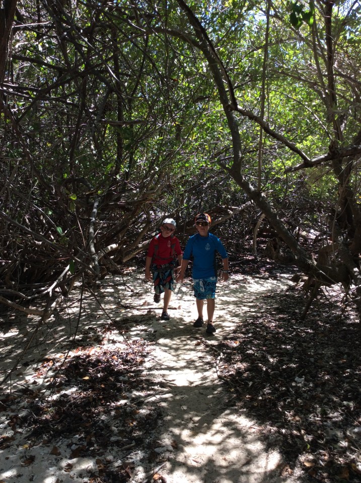 Jost Van Dyke (hike to bubbly pool)