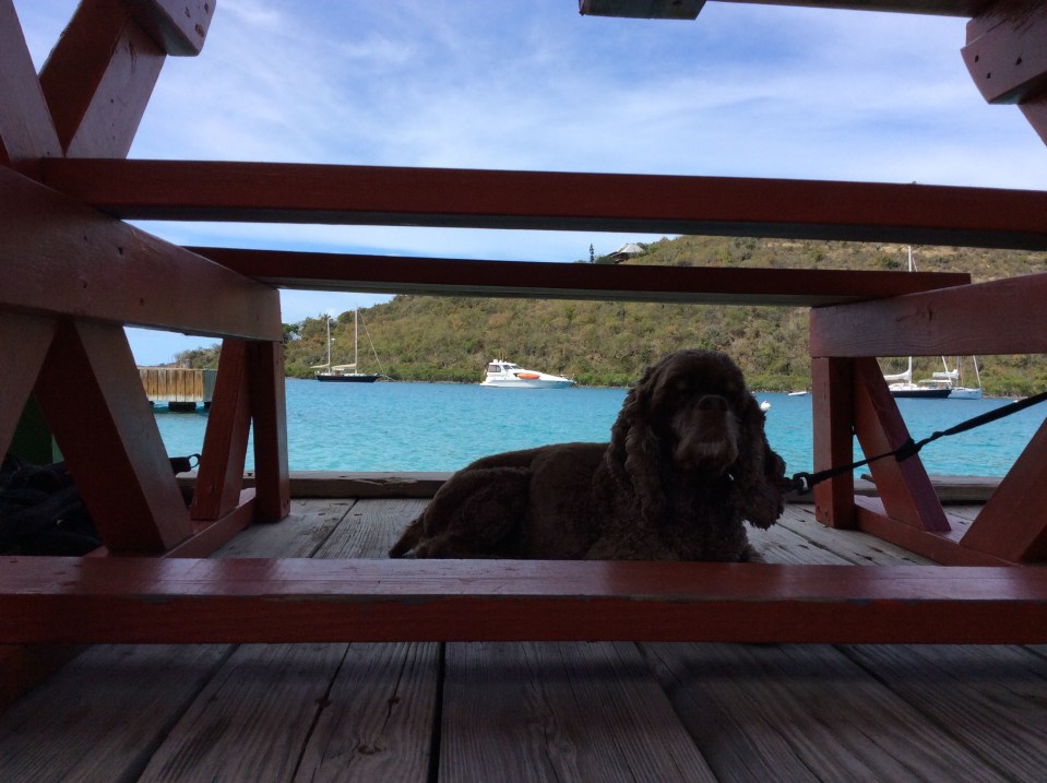 Patton, Fat Virgin, Biras Creek, Vigin Gorda, BVI