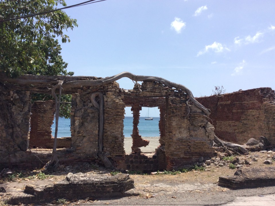 Ruins overtaken by roots on the way to the fort