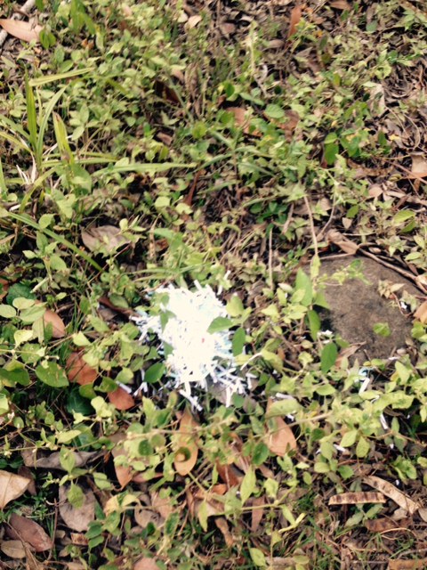 Grenada Hash hike trail marker
