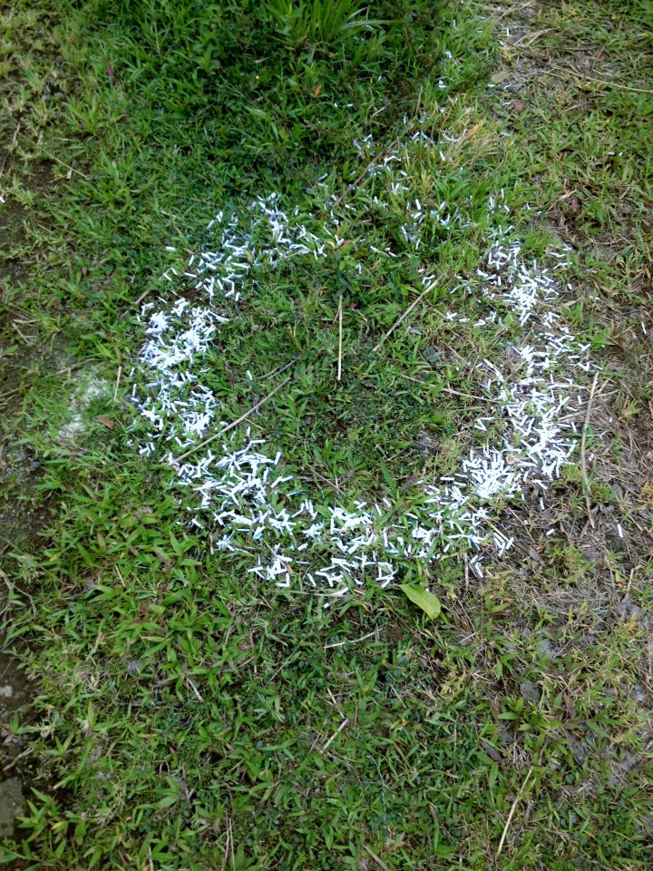 Trail marker "on, on"