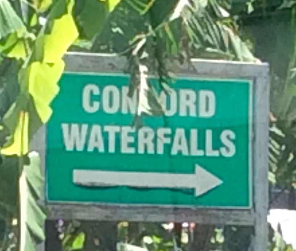 Concord Waterfalls