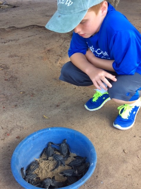 Ronan, Levera Bay, Leatherback turtles