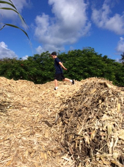 Ryan on the cane mulch pile