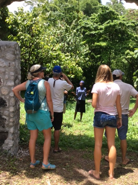 Guided tour of the Cacao Fields