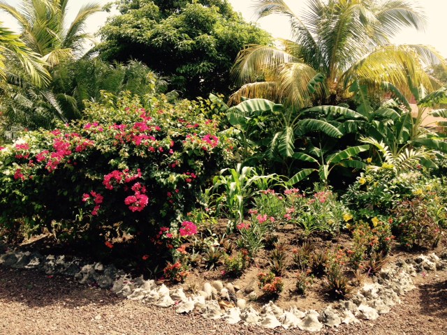 Port Louis Marina Garden