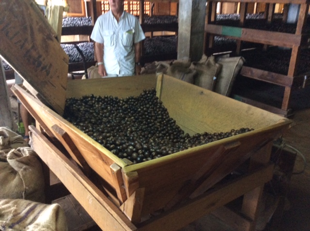 Nutmeg Seed Cracker & Shute to Floor Below