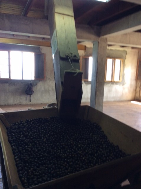 Nutmeg Seed Cracker & Shute to Floor Below