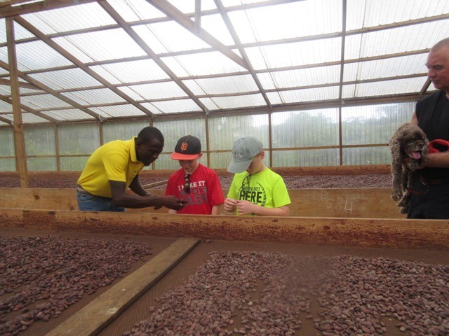 R&R, Randy & Patton Cocoa beans drying