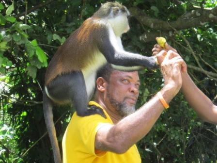 Martin "Cat Eyes" Lawrence (a.k.a. Yellow Man)