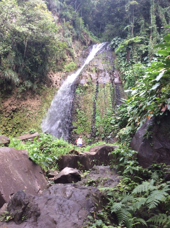 Dark View Falls (lower falls)