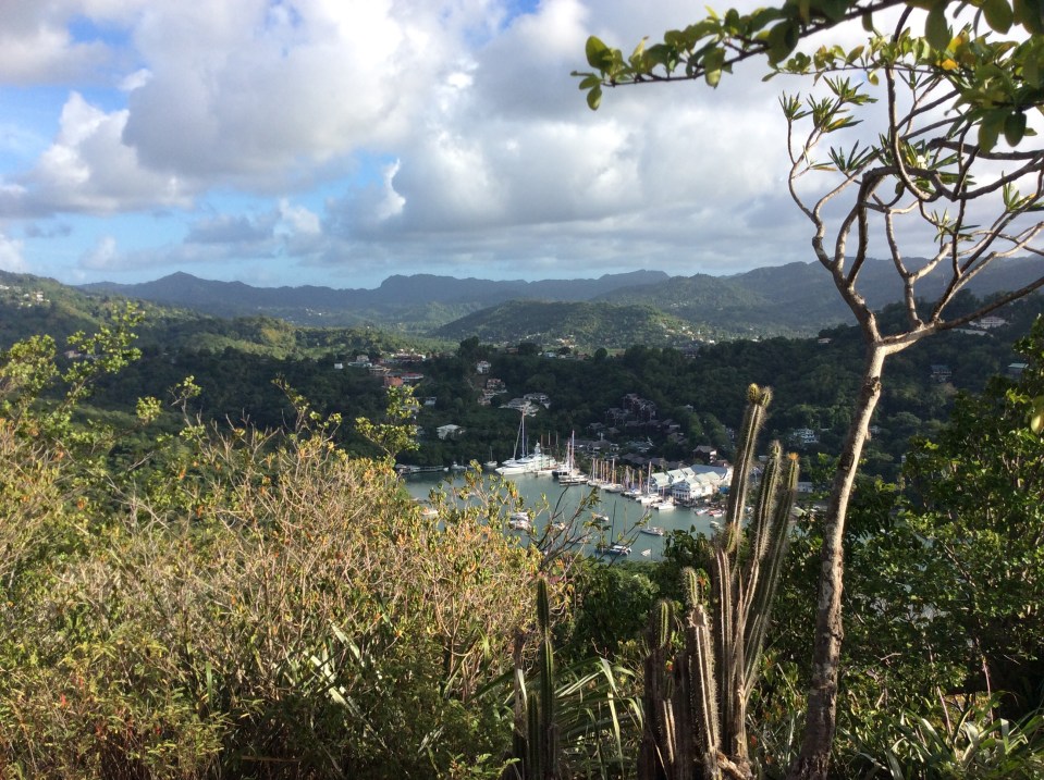 The Views Were Worth the Climb, Marigot Bay Hike, St. Lucia