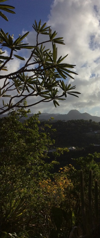 The Views Were Worth the Climb, Marigot Bay Hike, St. Lucia