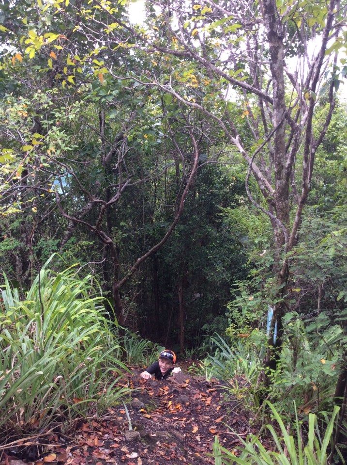 (Ryan) Steep Hike Behind Rain Forest Café, Marigot Bay, St. Lucia