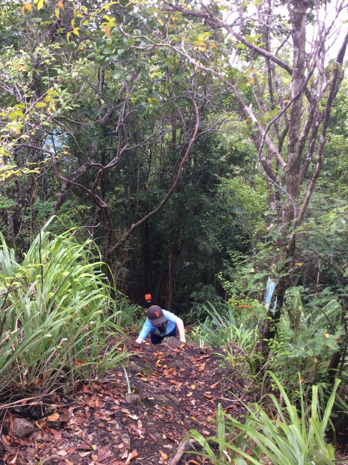 (Ronan) Steep Hike Behind Rain Forest Café, Marigot Bay, St. Lucia