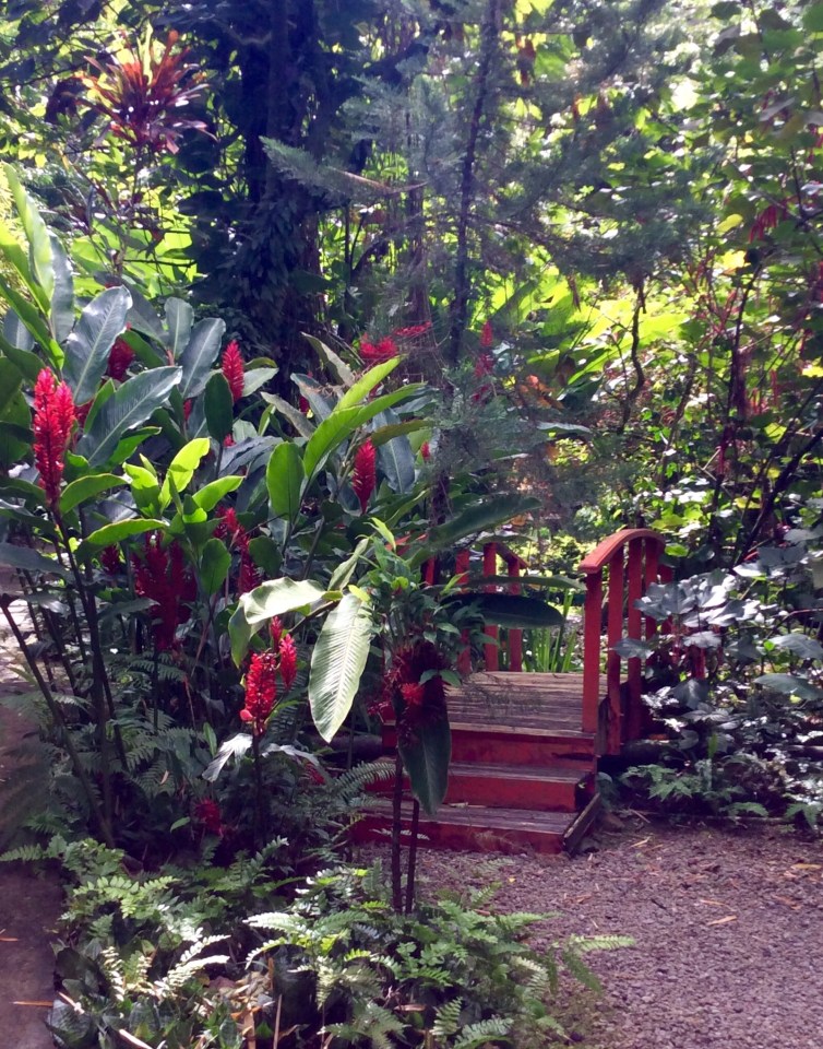 St. Lucia Botanical Gardens