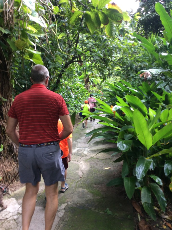 St. Lucia, Botanical Gardens