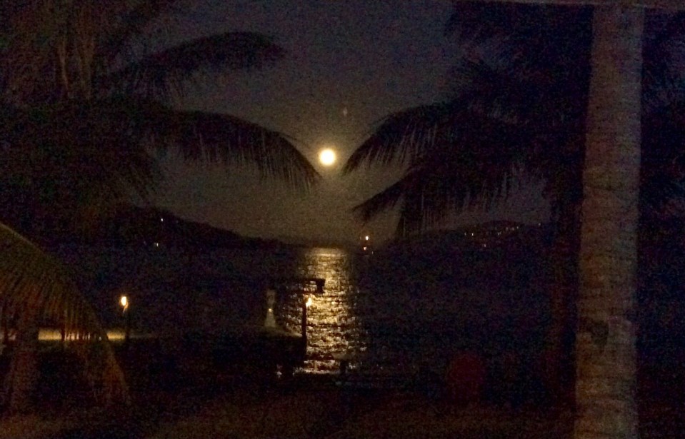 Full Moon Part at Foxy's Taboo, Jost Van Dyke, BVI