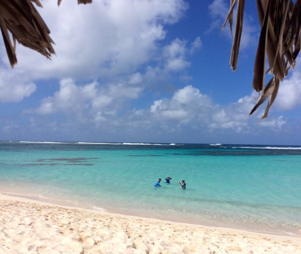 Mike, Madison & Bridget snorkling, Loblolly Beach, Anegada, BVI