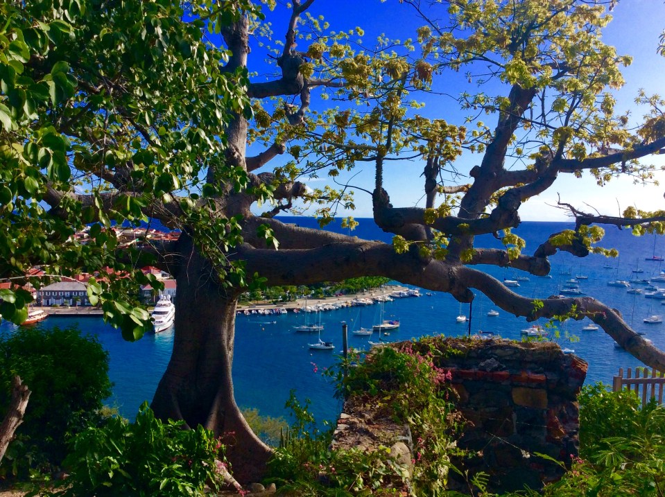 Gustavia hike, St. Bart