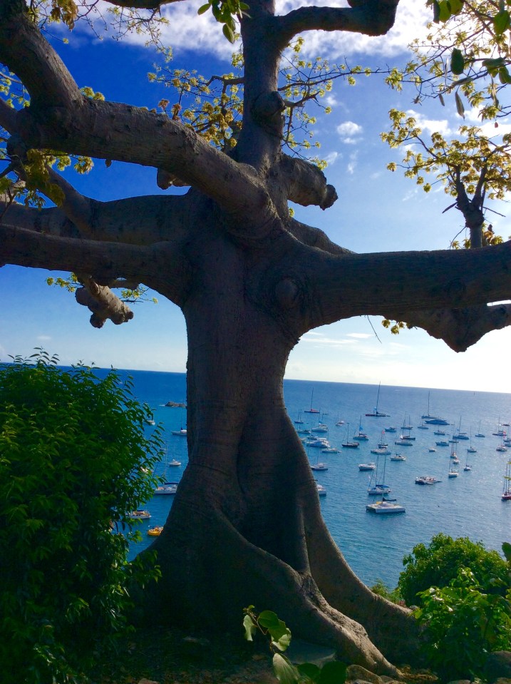 Gustavia hike, St. Bart