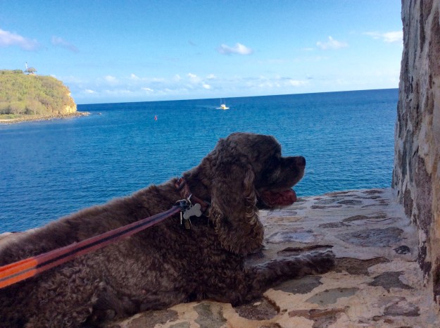 Patton, Fort Berkeley, English Harbor, Antigua