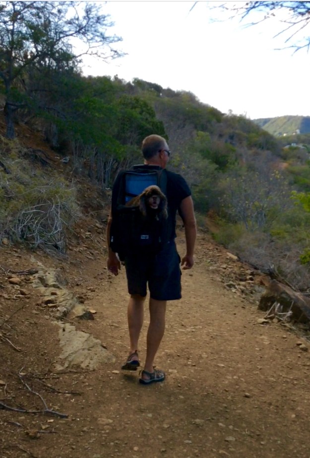 Patton taking Randy for a hike in Antigua