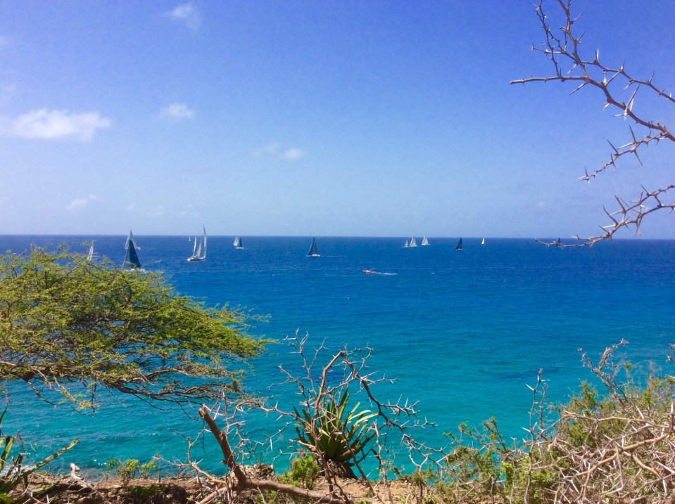 Antigua Sail Week 2016