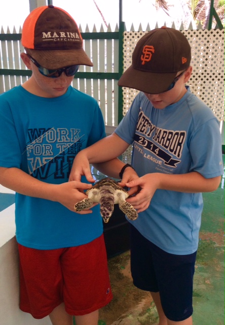 Ryan and Ronan holding the endangered Hawksbill turtle at the turtle sanctuary in Bequia