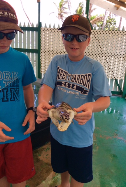 Ronan holding the endangered Hawksbill turtle at the turtle sanctuary in Bequia
