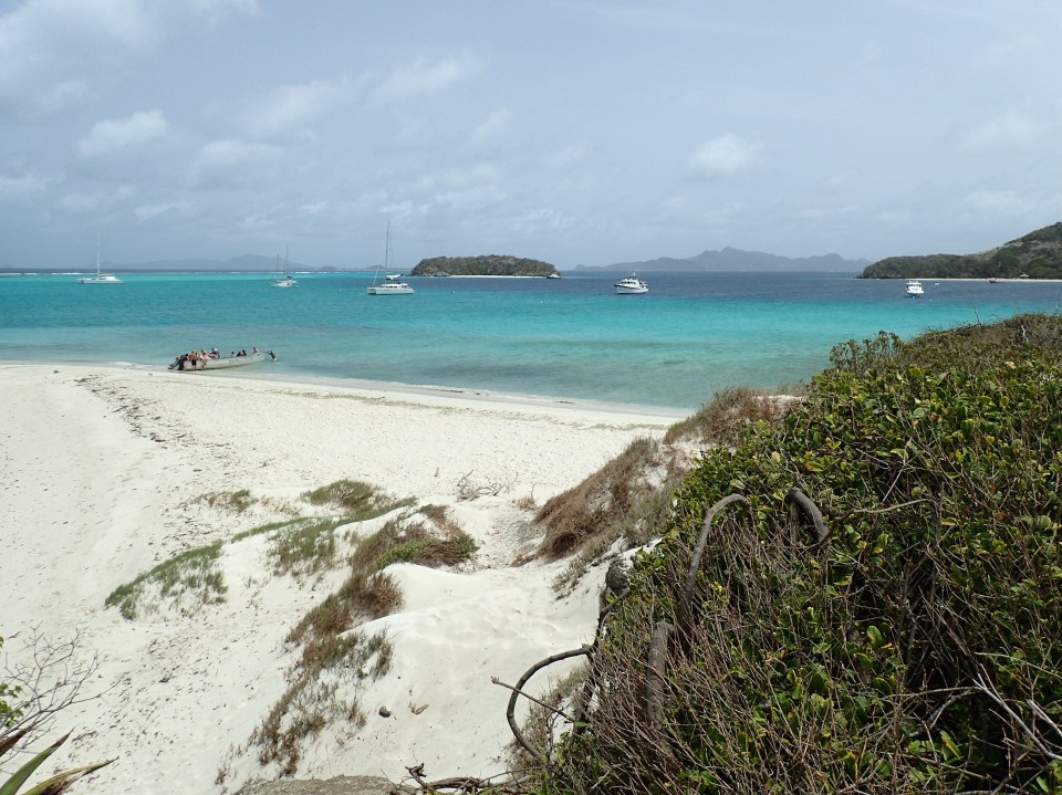 Baradal Island, Tobago Cays (spot Pilots' Discretion)
