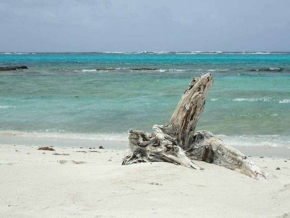 Baradal Island beach looking out towards the reef, Tobago Cays