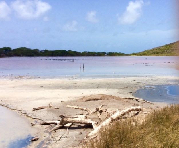 Salt Ponds, Mayreau