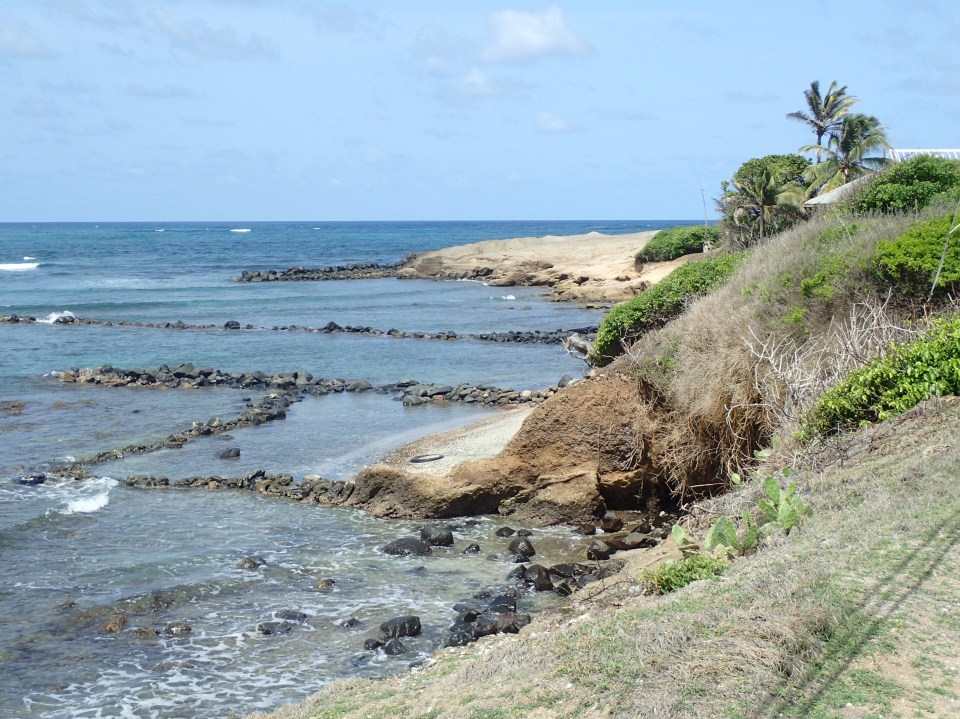 Petite St. Martineque