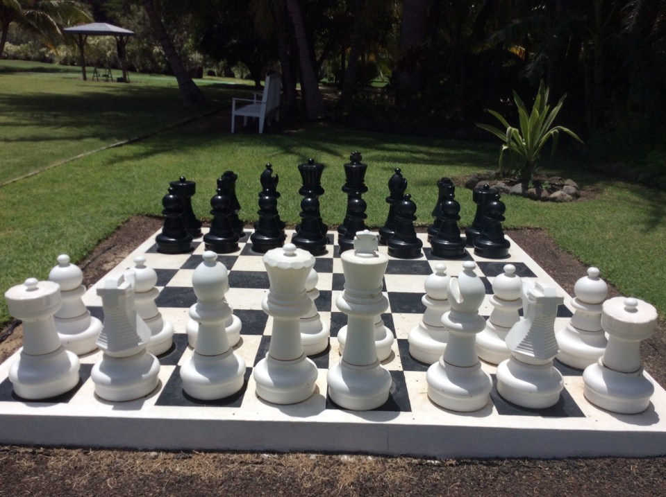 Lawn-life-sized chess