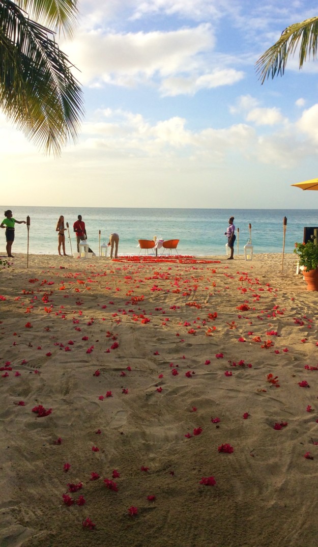 The Mount Cinnamon Resort team preparing the flower pedal walkway to the anniversary dinner at Savvy, private beachside-waterfront-sunset, dinner for two, St. George's, Grenada