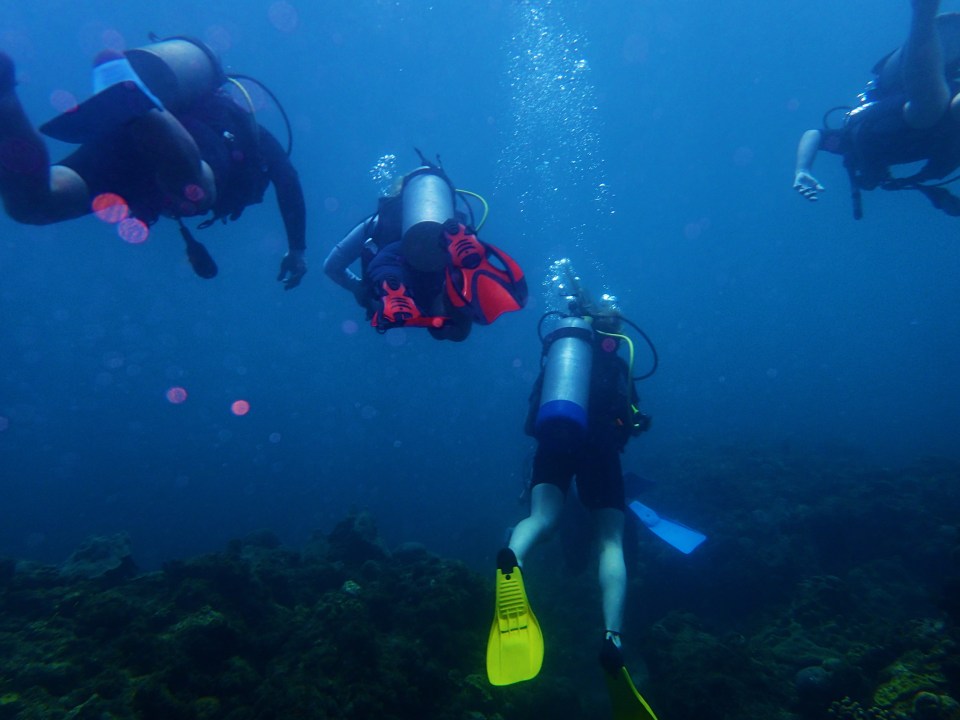 Diving the under water sculpture park, Molinere Bay, Grenada