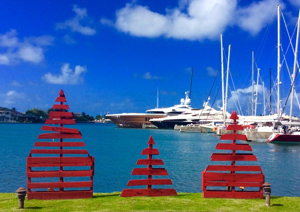 Wooden palette Christmas trees, IGY Rodney Bay Marina, St. Lucia