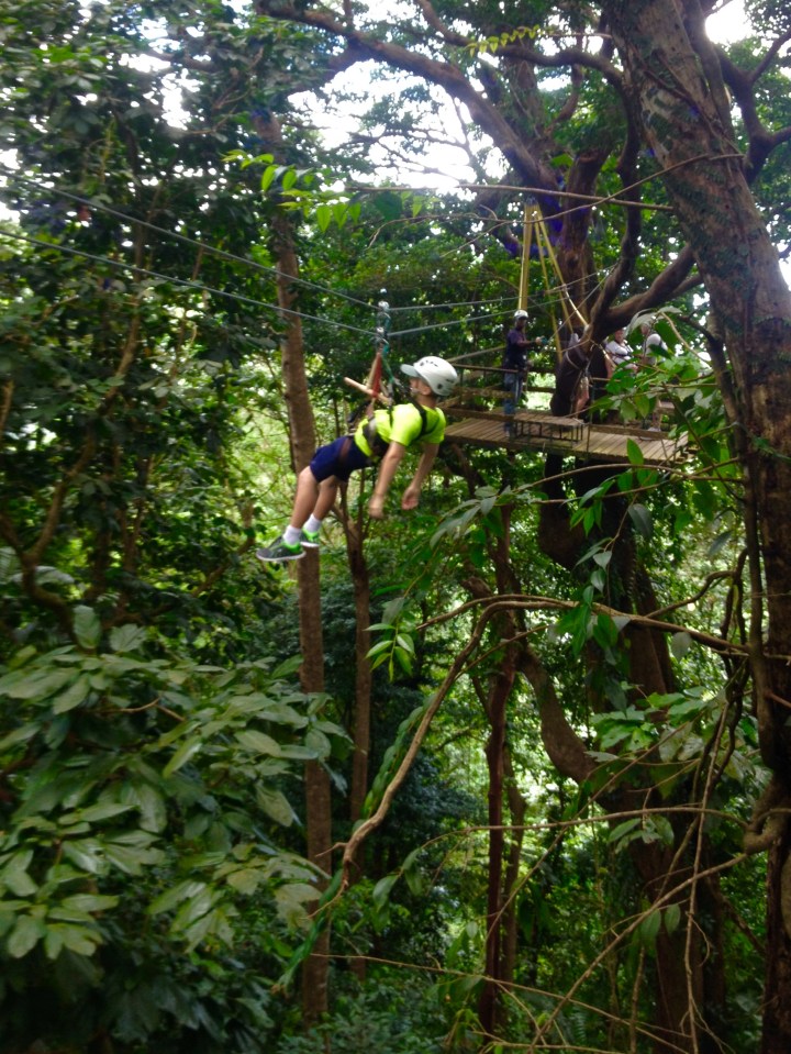 Ronan on the zip line, Rain Forest Adventures, St. Lucia