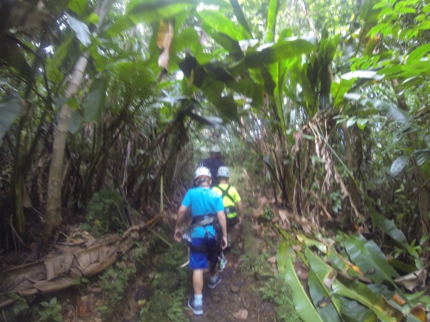Hiking through the rain forest, St. Lucia