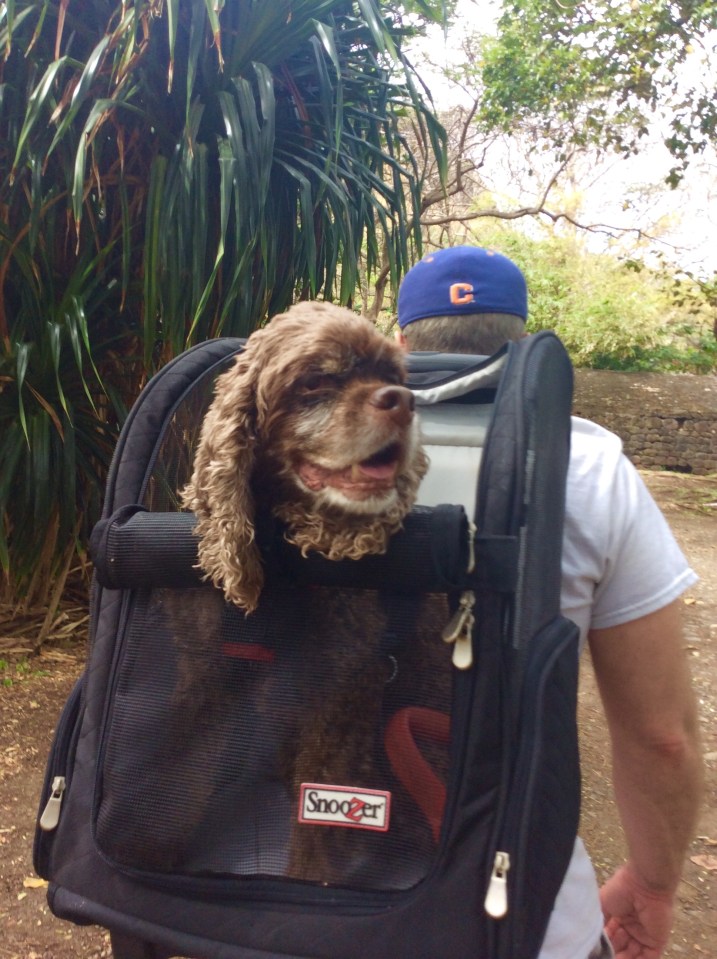 Patton and James, hiking to Fort Rodney, St. Lucia