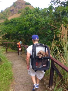 Patton and James, hiking Fort Rodney, St. Lucia