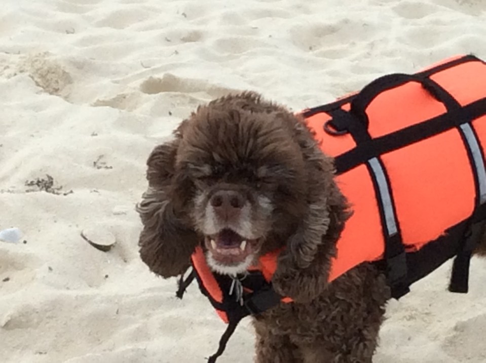 Patton, Big Majors, Bahamas