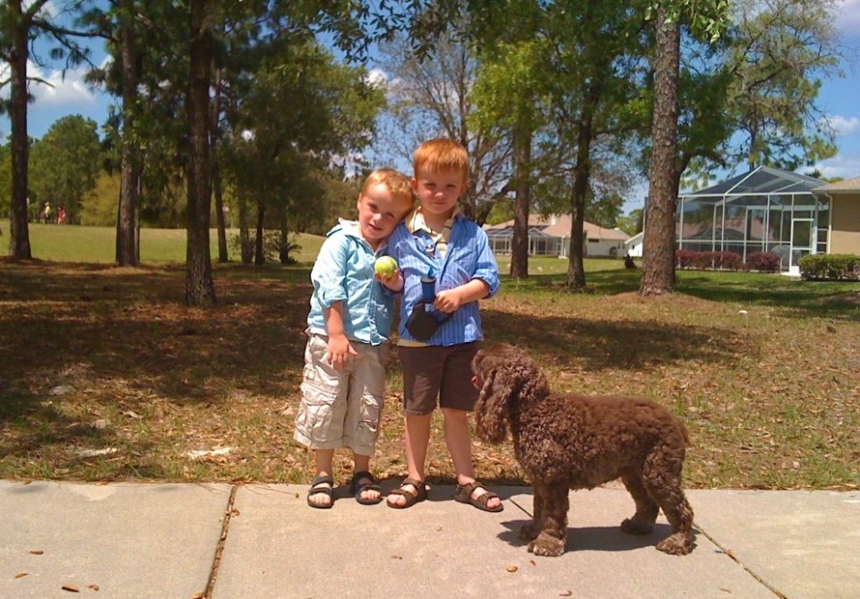 Ronan, Ryan & Patton